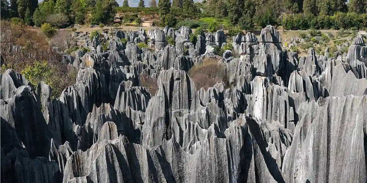 טיול מאורגן לסין